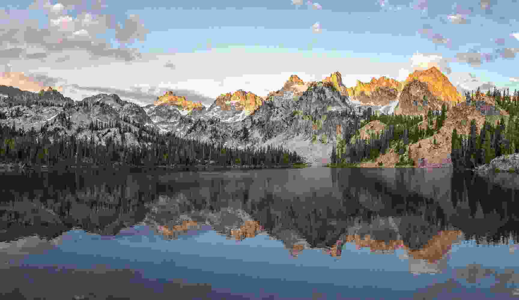 Listing Taxonomy Image