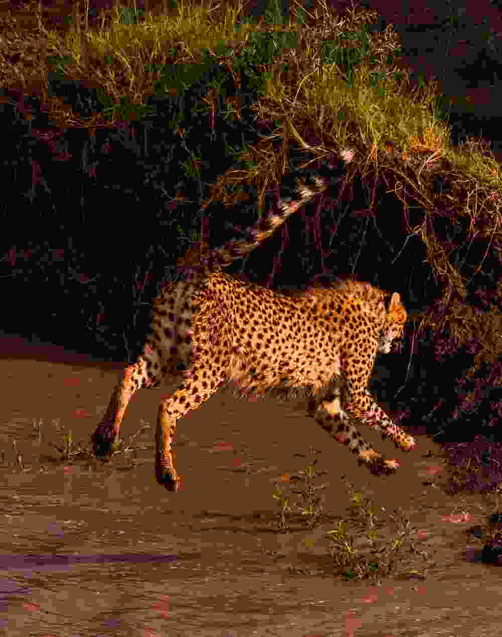 Featured Image Featured Image