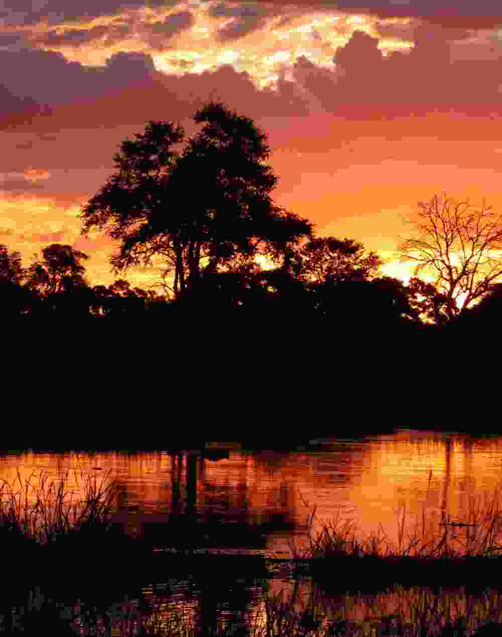 Featured Image Featured Image